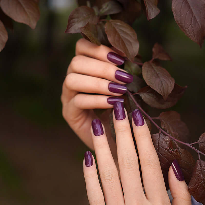 Wine Gel - Image 2